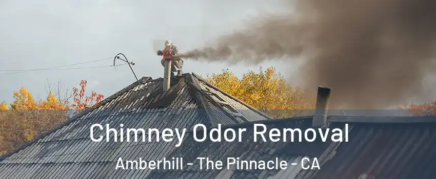 Chimney Odor Removal Amberhill - The Pinnacle - CA