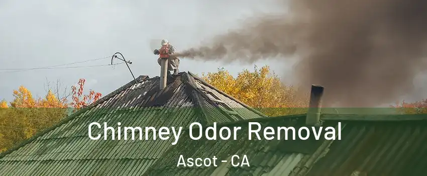 Chimney Odor Removal Ascot - CA