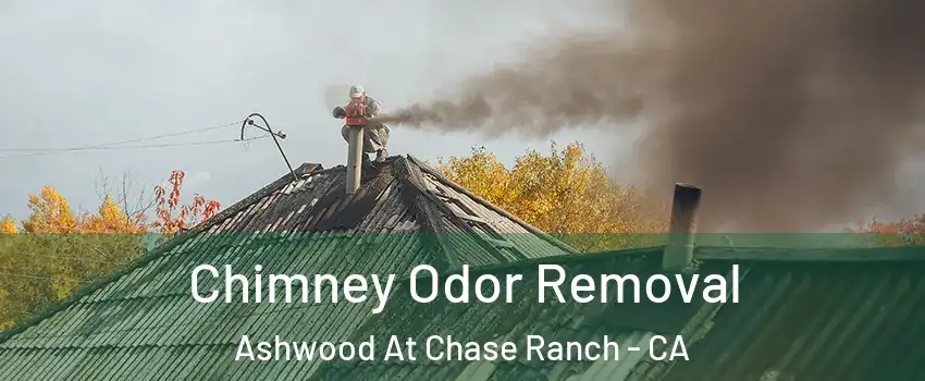 Chimney Odor Removal Ashwood At Chase Ranch - CA