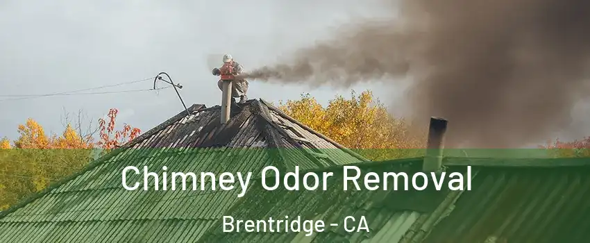 Chimney Odor Removal Brentridge - CA