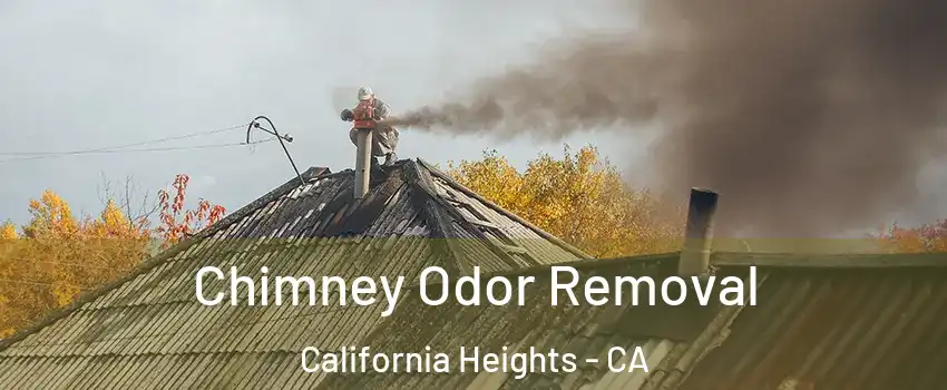 Chimney Odor Removal California Heights - CA