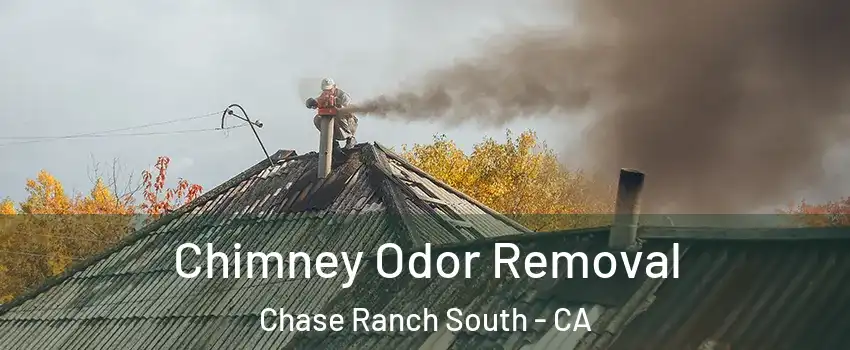 Chimney Odor Removal Chase Ranch South - CA
