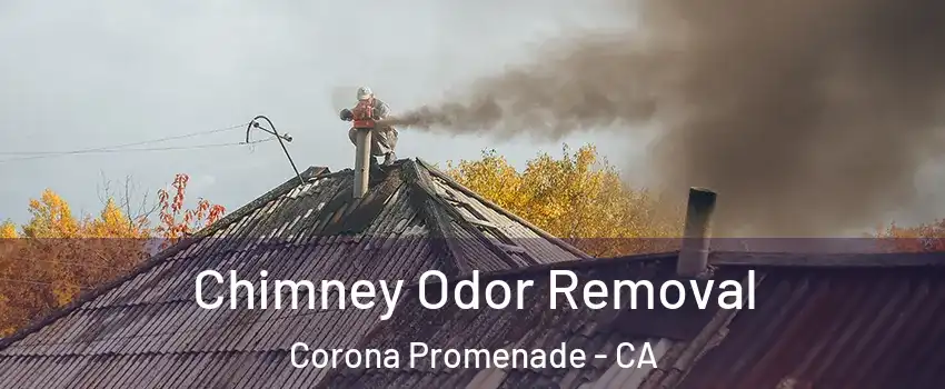 Chimney Odor Removal Corona Promenade - CA