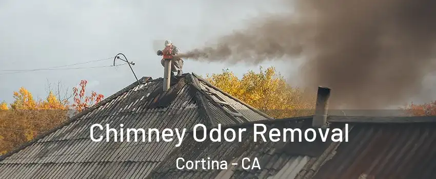 Chimney Odor Removal Cortina - CA