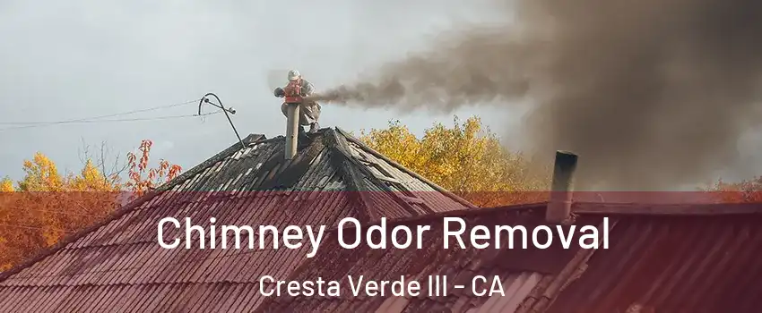 Chimney Odor Removal Cresta Verde III - CA