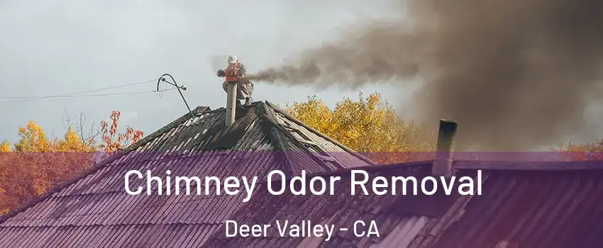 Chimney Odor Removal Deer Valley - CA