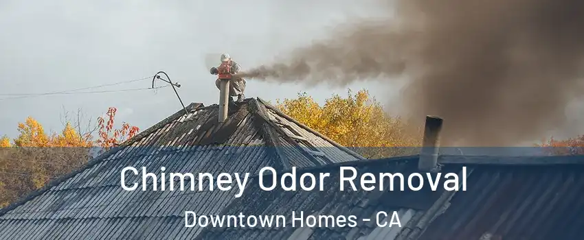 Chimney Odor Removal Downtown Homes - CA