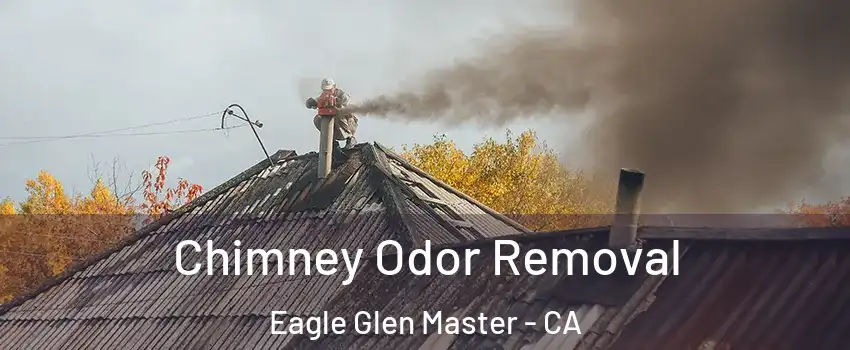 Chimney Odor Removal Eagle Glen Master - CA