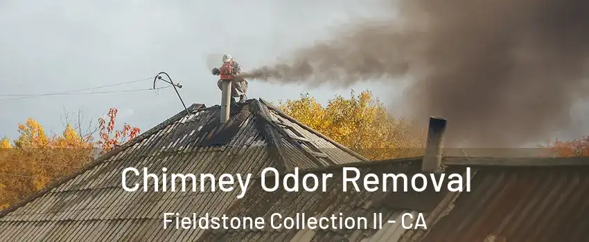Chimney Odor Removal Fieldstone Collection II - CA