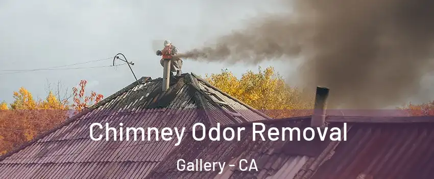 Chimney Odor Removal Gallery - CA