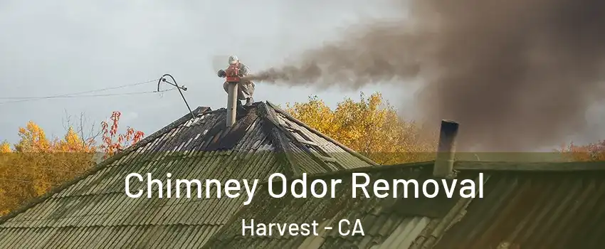 Chimney Odor Removal Harvest - CA