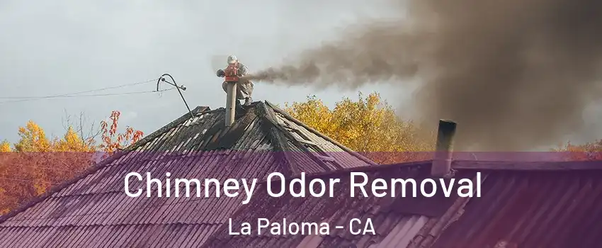 Chimney Odor Removal La Paloma - CA