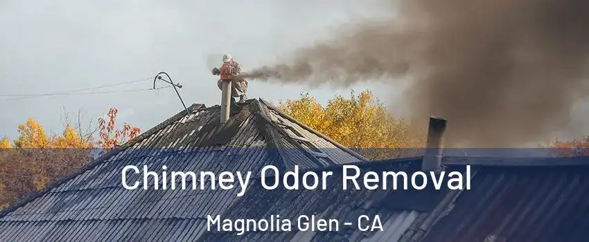 Chimney Odor Removal Magnolia Glen - CA