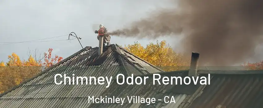 Chimney Odor Removal Mckinley Village - CA