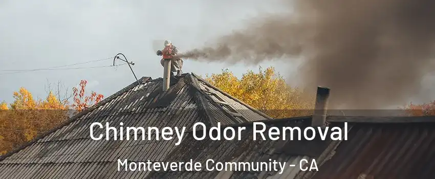 Chimney Odor Removal Monteverde Community - CA