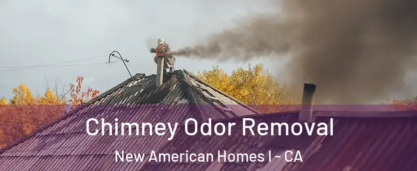 Chimney Odor Removal New American Homes I - CA
