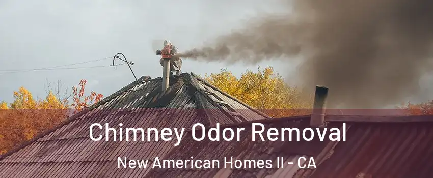Chimney Odor Removal New American Homes II - CA
