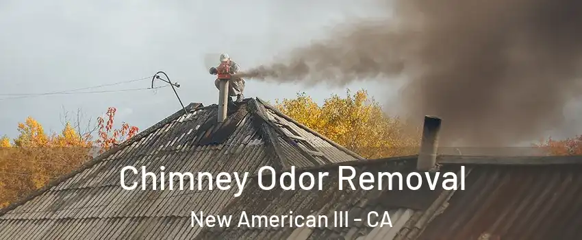 Chimney Odor Removal New American III - CA