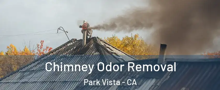 Chimney Odor Removal Park Vista - CA
