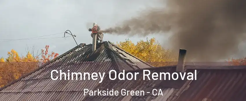 Chimney Odor Removal Parkside Green - CA