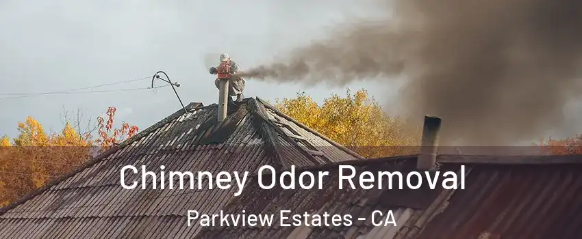 Chimney Odor Removal Parkview Estates - CA