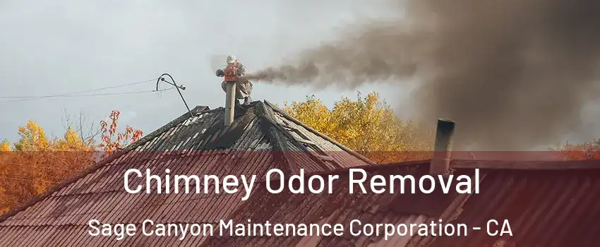 Chimney Odor Removal Sage Canyon Maintenance Corporation - CA