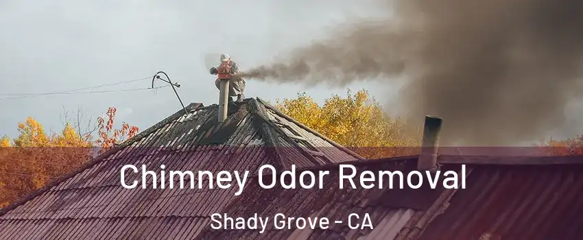 Chimney Odor Removal Shady Grove - CA