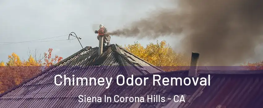Chimney Odor Removal Siena In Corona Hills - CA