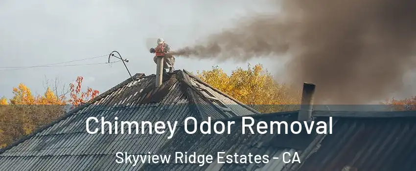 Chimney Odor Removal Skyview Ridge Estates - CA