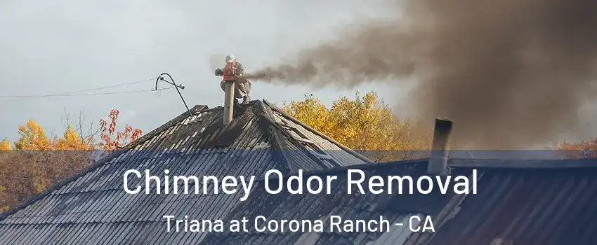 Chimney Odor Removal Triana at Corona Ranch - CA
