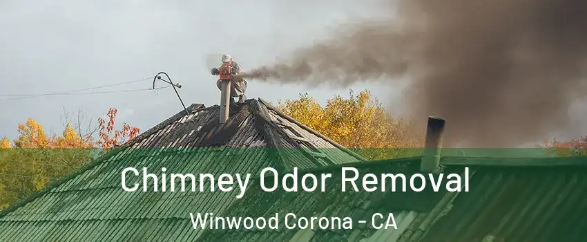 Chimney Odor Removal Winwood Corona - CA