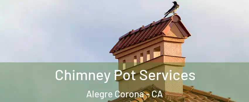 Chimney Pot Services Alegre Corona - CA