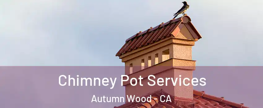 Chimney Pot Services Autumn Wood - CA