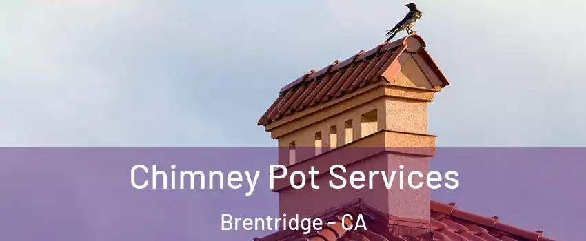 Chimney Pot Services Brentridge - CA