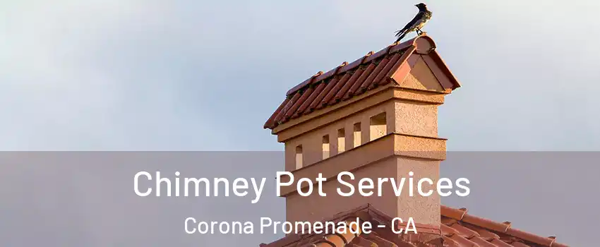Chimney Pot Services Corona Promenade - CA