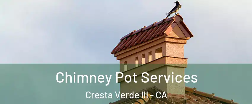 Chimney Pot Services Cresta Verde III - CA