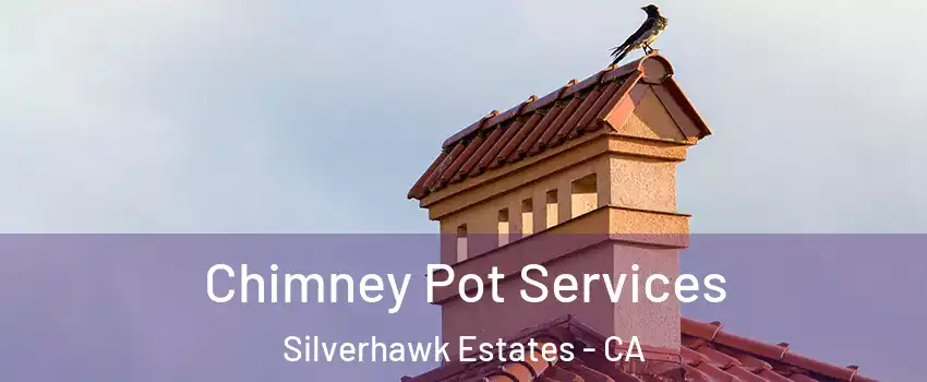 Chimney Pot Services Silverhawk Estates - CA