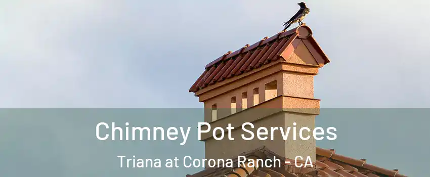 Chimney Pot Services Triana at Corona Ranch - CA