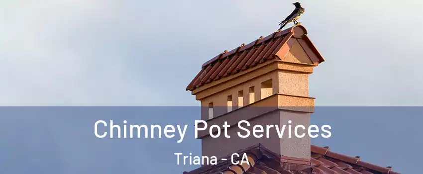 Chimney Pot Services Triana - CA