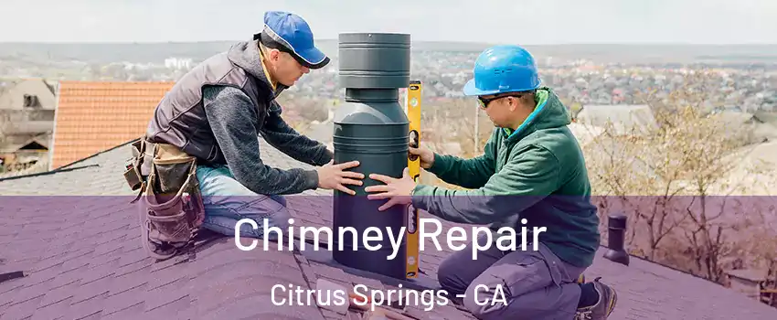 Chimney Repair Citrus Springs - CA