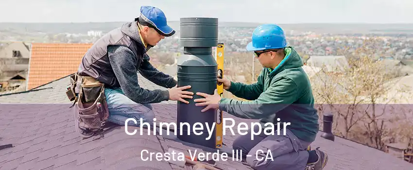 Chimney Repair Cresta Verde III - CA