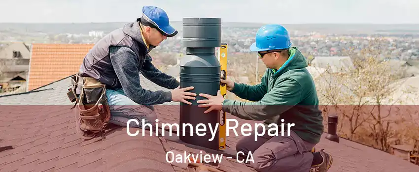 Chimney Repair Oakview - CA
