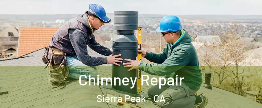 Chimney Repair Sierra Peak - CA