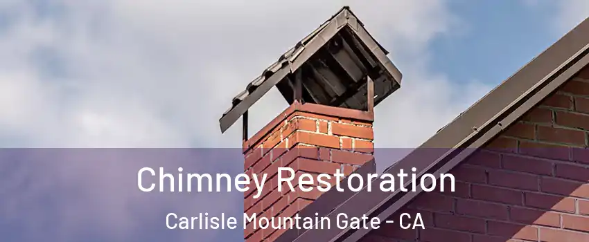 Chimney Restoration Carlisle Mountain Gate - CA