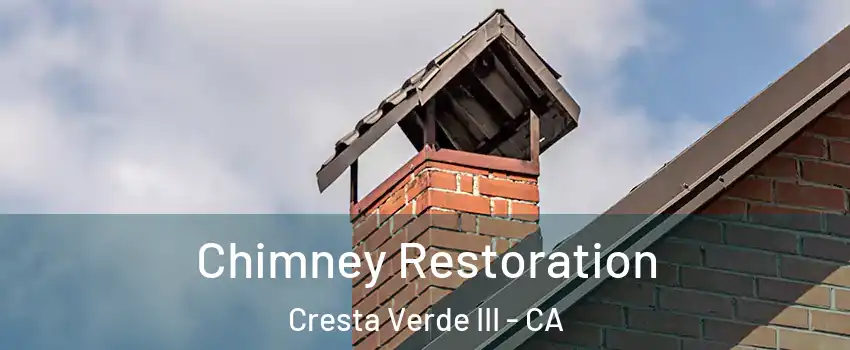 Chimney Restoration Cresta Verde III - CA