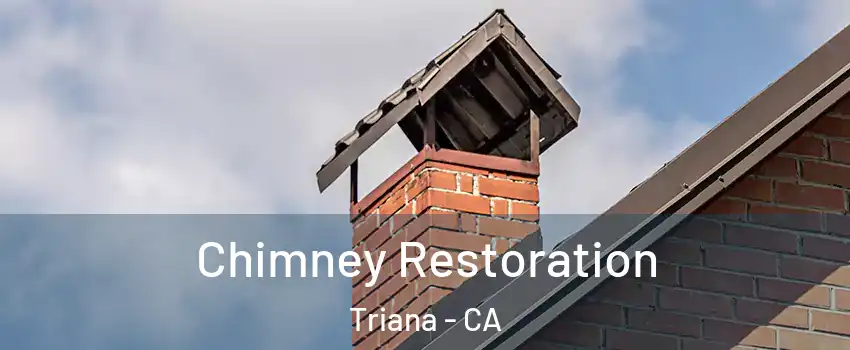 Chimney Restoration Triana - CA