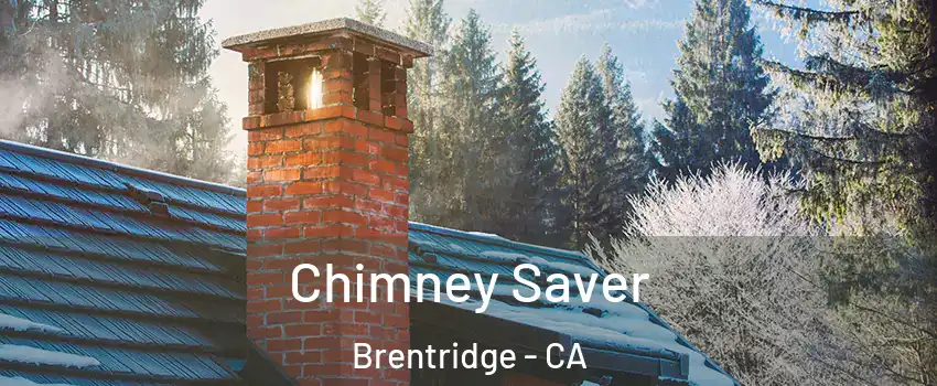 Chimney Saver Brentridge - CA