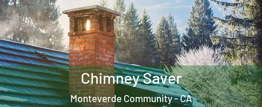 Chimney Saver Monteverde Community - CA