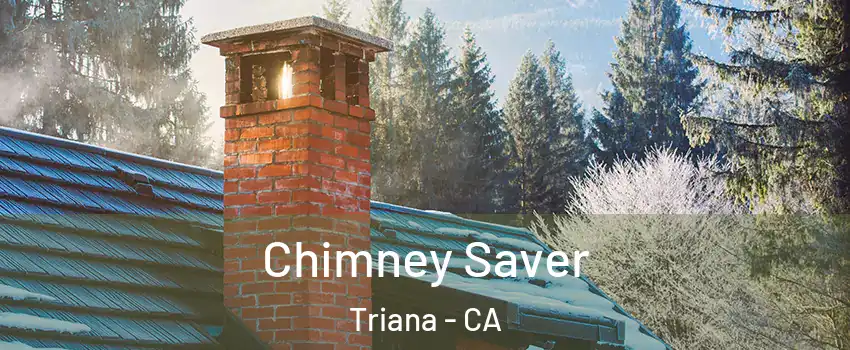Chimney Saver Triana - CA