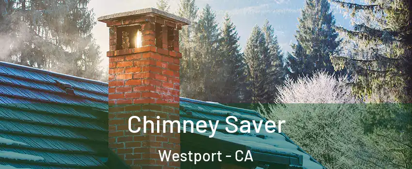 Chimney Saver Westport - CA